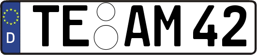 TE-AM42