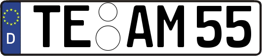 TE-AM55