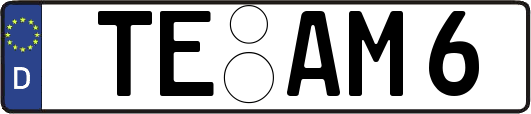 TE-AM6