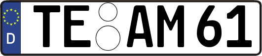 TE-AM61