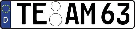 TE-AM63
