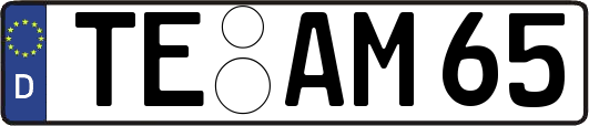 TE-AM65