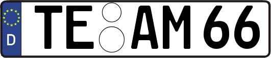 TE-AM66
