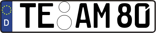 TE-AM80