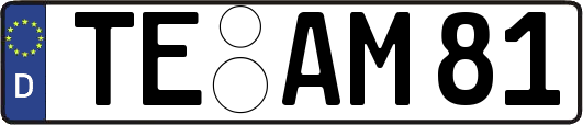 TE-AM81