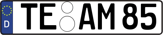TE-AM85
