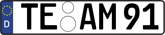 TE-AM91