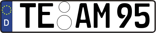 TE-AM95