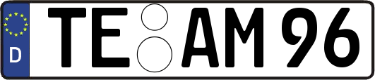 TE-AM96