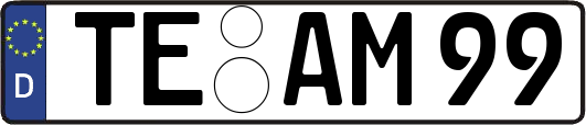 TE-AM99