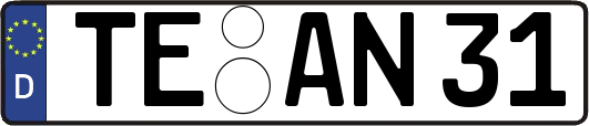 TE-AN31