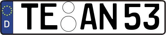 TE-AN53