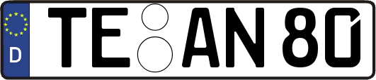 TE-AN80