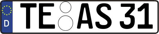 TE-AS31