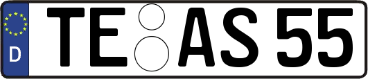 TE-AS55