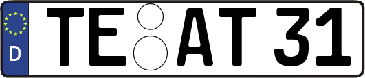 TE-AT31