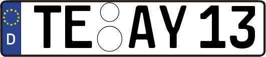 TE-AY13