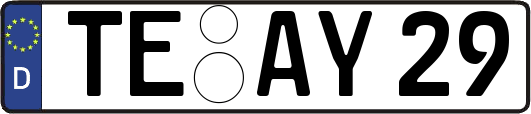 TE-AY29