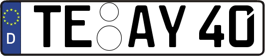 TE-AY40