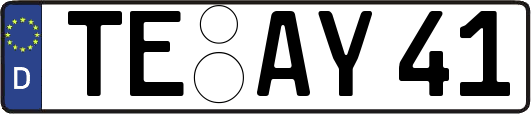 TE-AY41