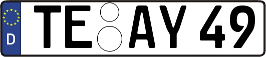 TE-AY49