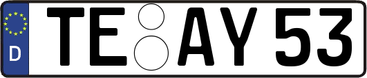 TE-AY53