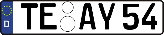 TE-AY54
