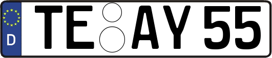 TE-AY55