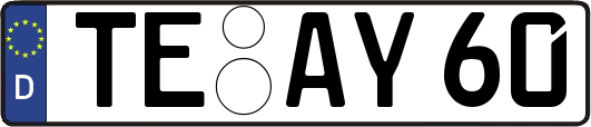 TE-AY60