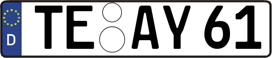 TE-AY61