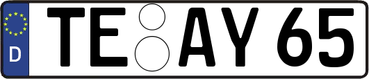 TE-AY65