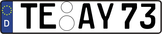 TE-AY73