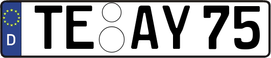 TE-AY75