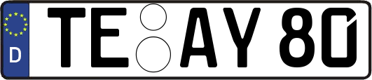 TE-AY80