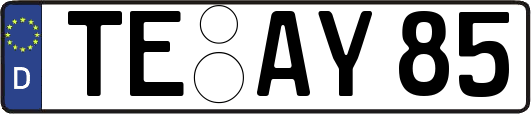 TE-AY85