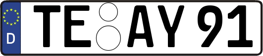 TE-AY91