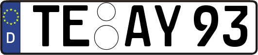 TE-AY93