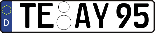 TE-AY95