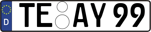 TE-AY99