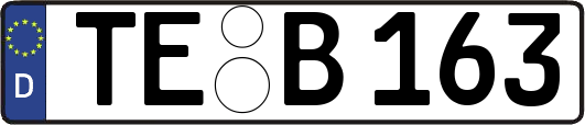 TE-B163