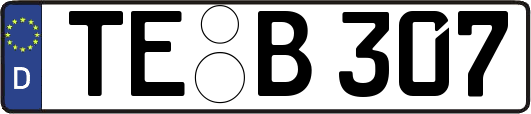 TE-B307