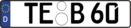 TE-B60