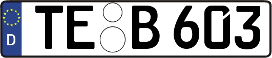 TE-B603