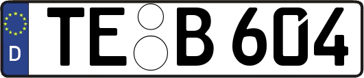 TE-B604