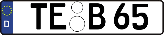 TE-B65