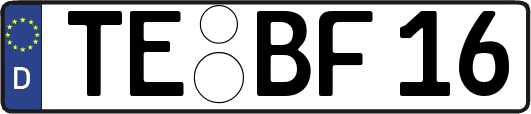 TE-BF16