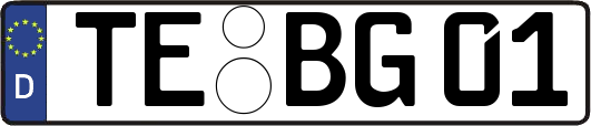TE-BG01