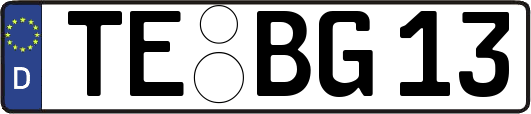 TE-BG13