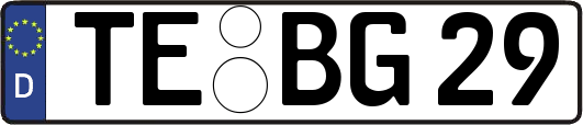 TE-BG29