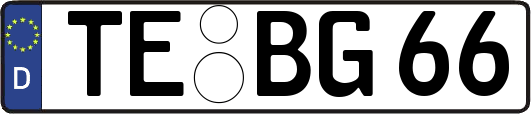 TE-BG66